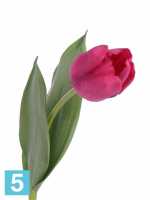 Искусственный букет из тюльпанов Sensitive Botanic темно-розовые 3 шт. 48h см в Москве