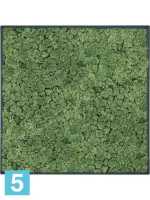 Картина из искусственного мха stiel l матовая 100% олений мох (мох зеленый) темный фон l-70 w-70 h-6 см в Москве