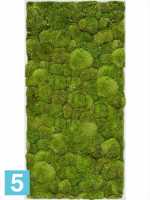 Картина из искусственного мха stiel l матовая 100% шаровой мох l-100 w-50 h-6 см в #REGION_NAME_DECLINE_PP#