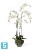 Композиция из искусственных цветов Орхидея Фаленопсис белая с мхом, корнями, землей 150h TREEZ Collection в Москве